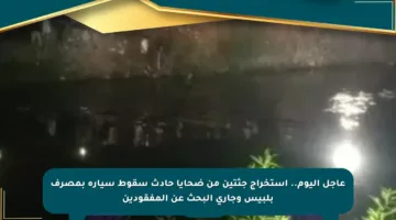 عاجل اليوم.. استخراج جثتين من ضحايا حادث سقوط سيارة بمصرف بلبيس وجاري البحث عن المفقودين